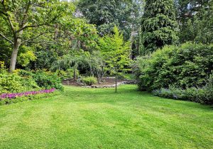 Optimiser l'expérience du jardin à Montigny-Mornay-Villeneuve-sur-Vingeanne